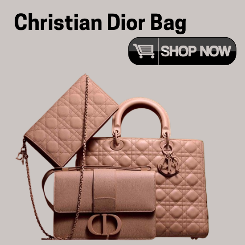 Christian Dior Bag