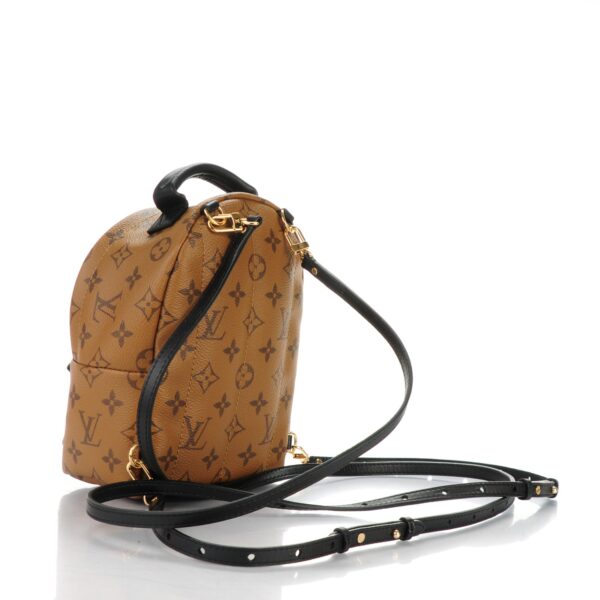 Louis Vuitton Palm Reverse Monogram Mini